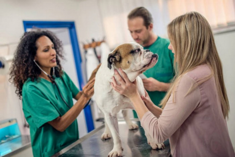 Agendamento de Ultrassonografia em Animais Riacho Fundo II - Ultrassom Animal