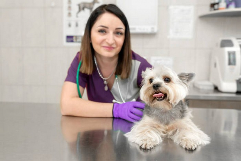Clínica de Exames de Imagem Veterinario Novo Gama - Exame de Fezes Cachorro