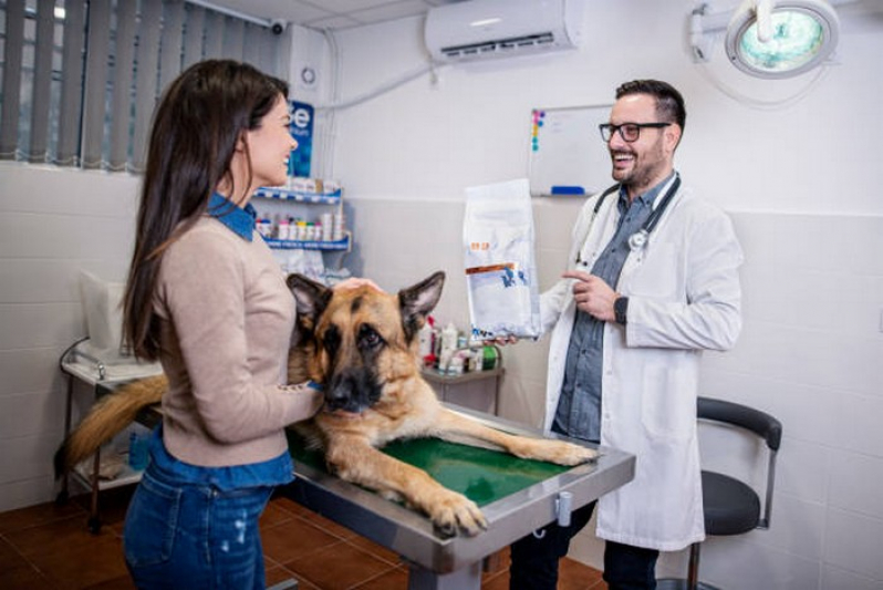 Clínica Pet Campos Belos - Clínica Veterinária para Cães