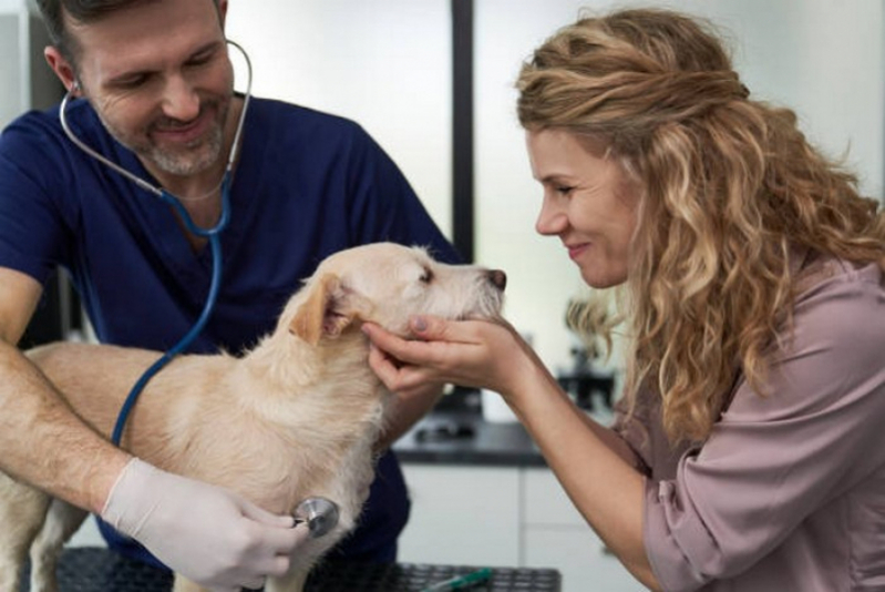 Clínica Que Faz Células Tronco para Tratamento de Cães com Cinomose Lajeado - Células Tronco para Cachorros