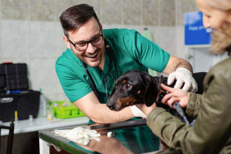 Clínica Que Faz Endoscopia para Animal de Estimação Nova Veneza - Endoscopia para Cães