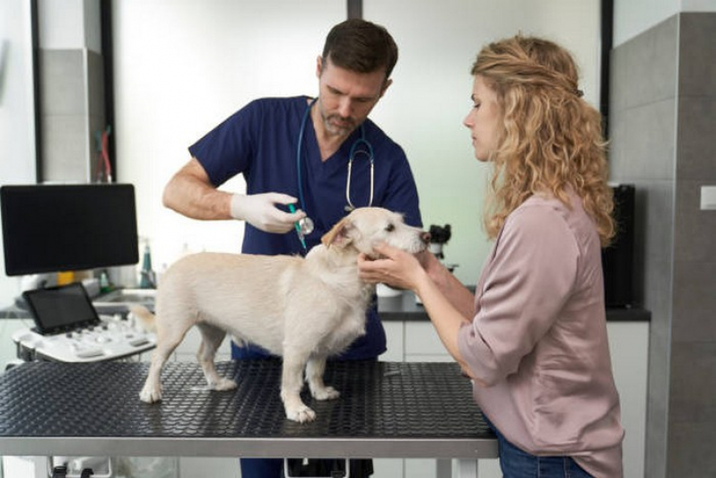 Clínica Veterinária 24 Horas Contato Boa Vista - Clínica Veterinária para Cães