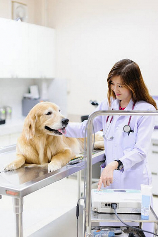 Clínica Veterinária Contato Park Way - Clínica Veterinária para Cães