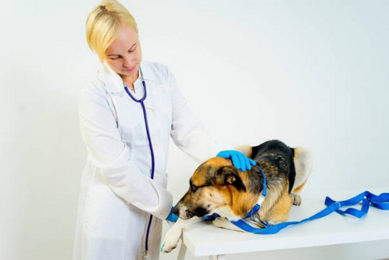 Clínica Veterinária Emergência Contato Anápolis - Clínica Veterinária para Cães