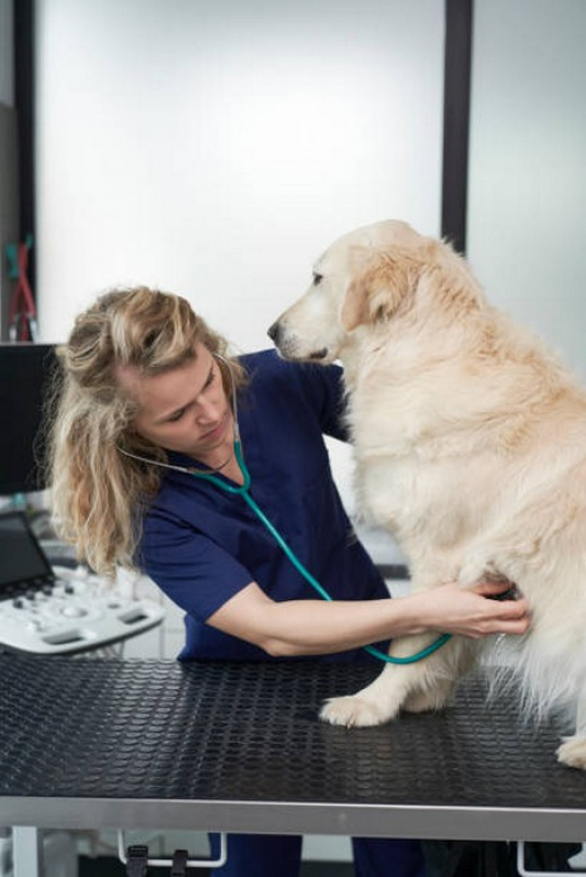 Clínica Veterinária Mais Próxima de Mim Contato Anápolis - Clínica Veterinária para Cães