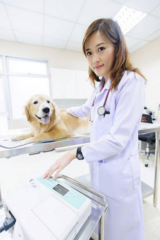 Clínica Veterinária para Cães Contato Brejinho de Nazaré - Clínica Veterinária 24 Horas