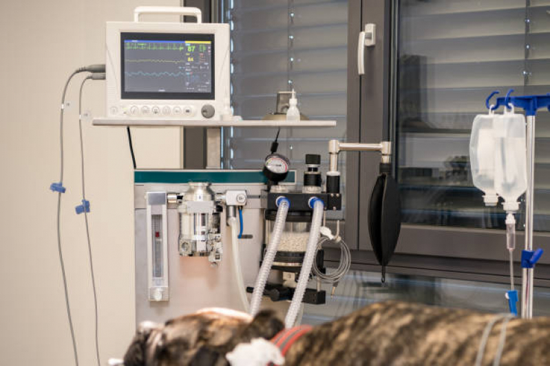 Eletrocardiograma para Pet Marcar Nova Veneza - Eletrocardiograma para Animais