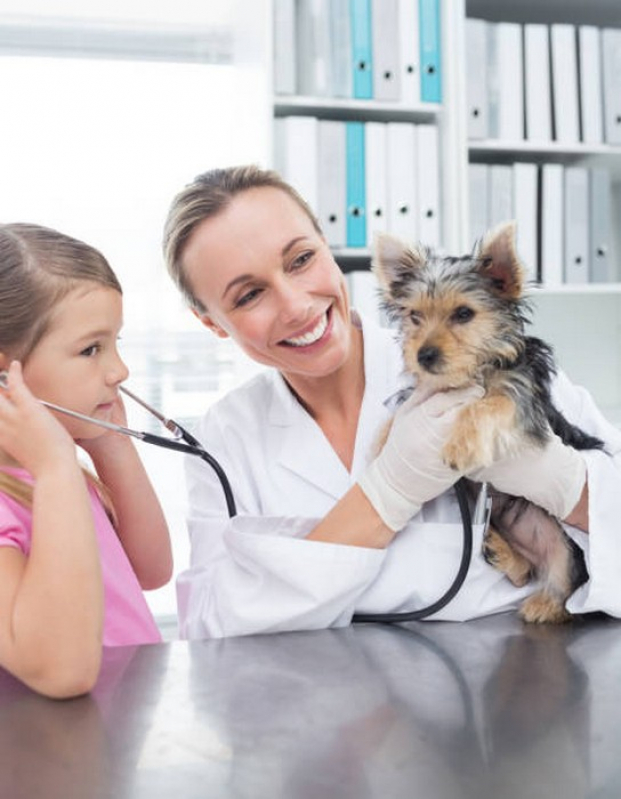 Endereço de Clínica Pet Pugmil - Clínica Veterinária Perto