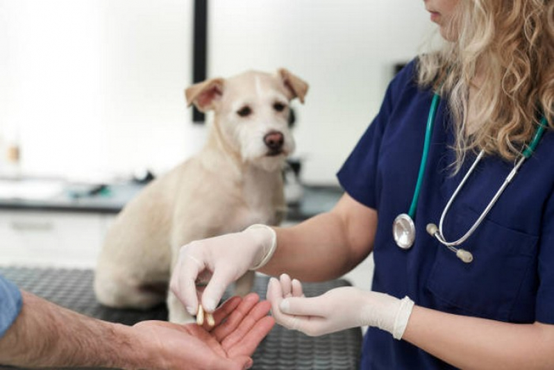 Endereço de Clínica Veterinária Perto de Mim Fátima - Clínica Veterinária para Cães