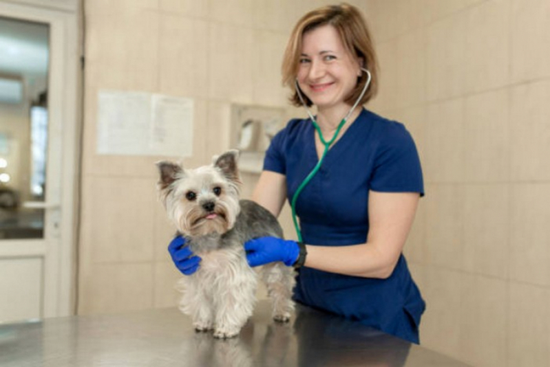 Onde Agendar Veterinário de Cães Plano Piloto - Veterinário para Cachorro e Gato