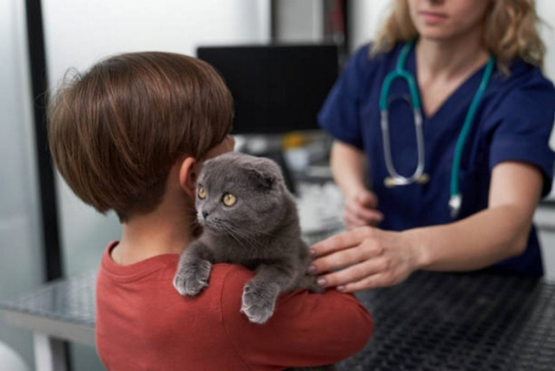 Onde Marcar Check Up Veterinário Perto de Mim Goianápolis - Check Up Veterinário para Cães e Gatos