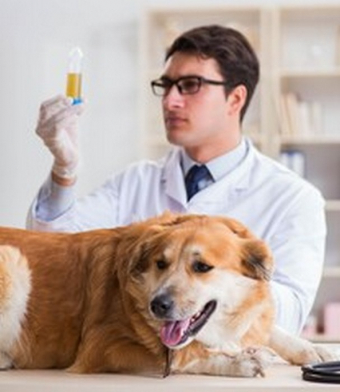 Onde Tem Vacina Leishmaniose Canina Águas Lindas de Goiás - Vacina Polivalente Cachorro