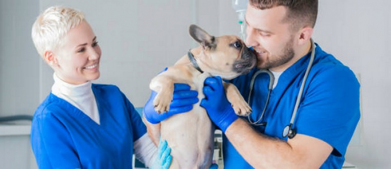 Telefone de Hospital Veterinario Cães e Gatos 24h Bom Sucesso - Hospital Veterinario Cães e Gatos 24h