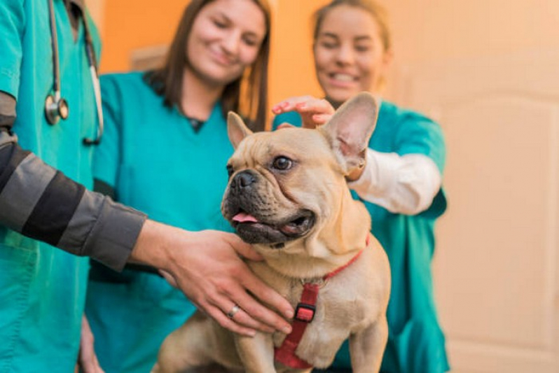 Telefone de Hospital Veterinario Cães e Gatos Santa Bárbara - Hospital Veterinario Mais Próximo