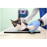 agendamento de check up veterinário em animais domésticos Park Way
