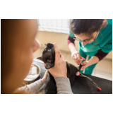 agendamento de check up veterinário para cachorros Pirenópolis