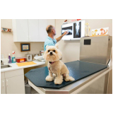 agendamento de check up veterinário para cães e gatos Octogonal