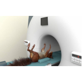 agendamento de tomografia veterinária Planaltina