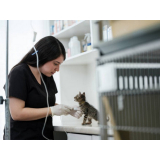 aplicação de vacina giardia gatos Octogonal
