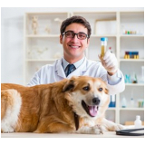 aplicação de vacina leishmaniose canina Papuda