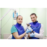 aplicação de vacina quadrupla felina Águas Claras