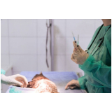 cirurgia cardiaca veterinaria agendar Riacho Fundo II