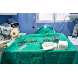 cirurgia ortopédica em cães e gatos Abadiânia