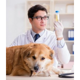 clínica de exame de urina de cachorro Gameleira