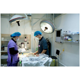 clínica especializada em cirurgia de hernia umbilical cachorro Goiás