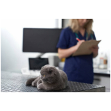 clínica especializada em exame de sangue para gatos Candangolândia