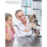 clínica especializada em exame de urina cachorro Barrolândia