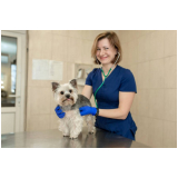 clínica especializada em neurologia veterinária Luziânia