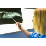 clínica especializada em radiografia digital veterinária Cruzeiro Velho