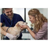 clínica que faz células tronco para tratamento de cães com cinomose Núcleo Bandeirante