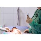 clínica que faz cirurgias para animais Anápolis