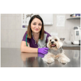 clínica que faz ecocardiograma para cães Caldas Novas