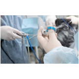clínica que faz endoscopia em cães Caldas Novas