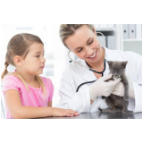 clínica que faz exame de sangue gato Novo Gama