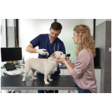 clínica veterinária 24 horas contato Silvanópolis