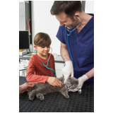 clínica veterinária para gatos contato Unaí