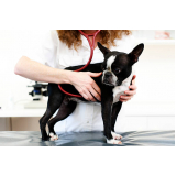 eletrocardiograma para cachorro Riacho Fundo I