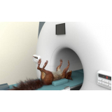 exame de tomografia para animais agendar Capão Seco