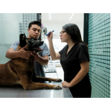 exames laboratoriais de cachorro marcar Riacho Fundo II