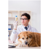 laboratório de exame de urina de cachorro Barrolândia