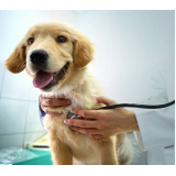 onde agendar veterinário para cães Jardim do Ingá