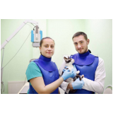 raio x pata de gato clínica Anápolis