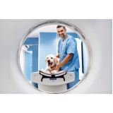 tomografia cachorro Octogonal