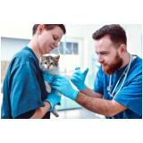vacina da gripe para animais Águas Claras