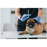 vacina de cachorro preço Recanto das Emas
