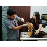 vacina de gripe para cachorro preço Lago Sul